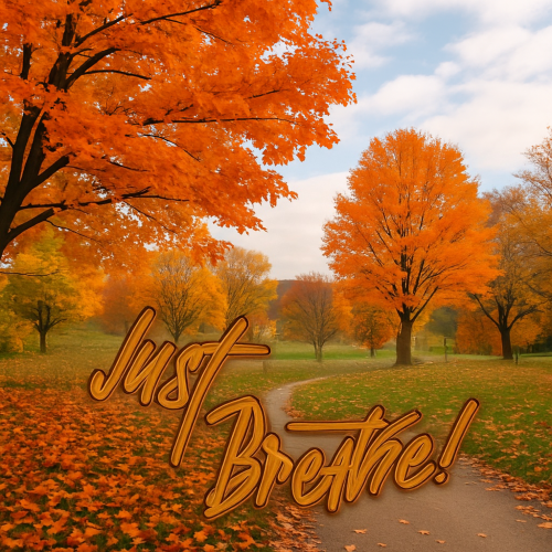 A Simple Holiday Wish